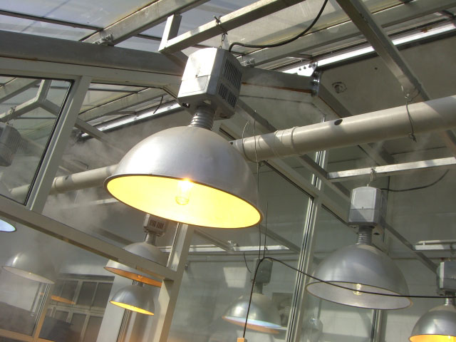 ��(f��)����W(xu��)����v�����ӝ���ST-18Z��픈D