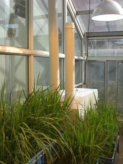 ��(f��)����W(xu��)����v�����ӝ���ST-18Z�G���҈D