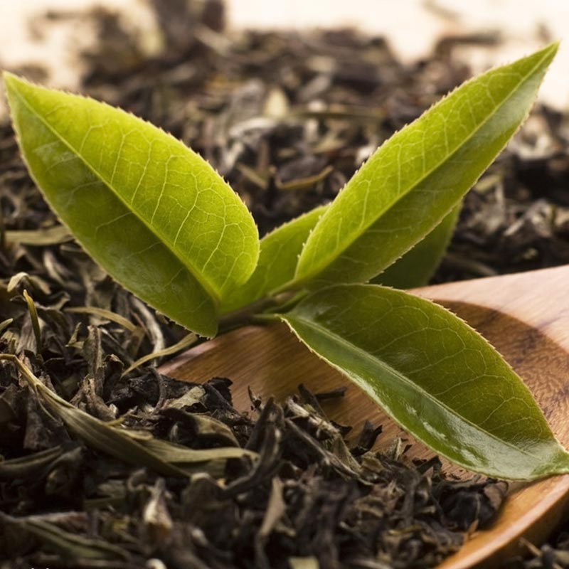 ���y�����ջ������~��əC