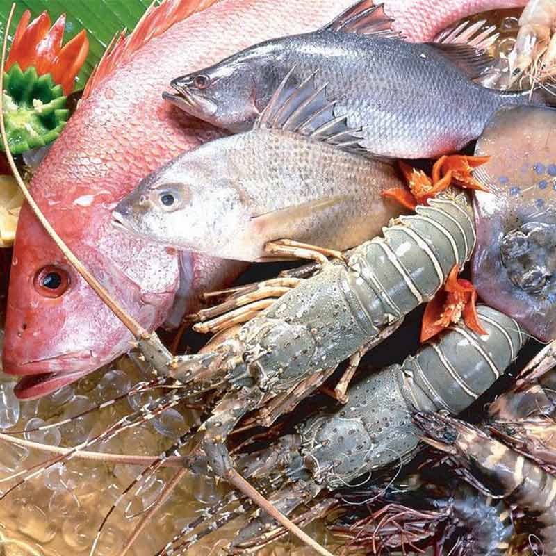 ���a(ch��n)Ʒ��əC