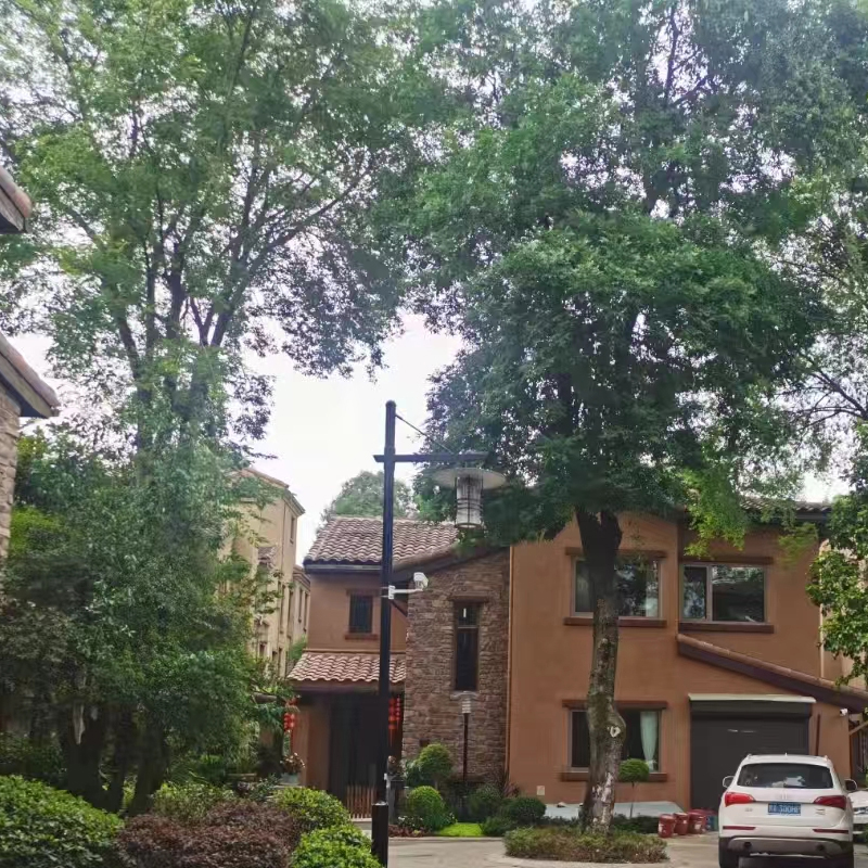 ´�����B(t��i)��  ������׃�l�ƽѺ�غ����{(di��o) 2�_